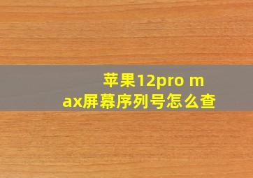 苹果12pro max屏幕序列号怎么查